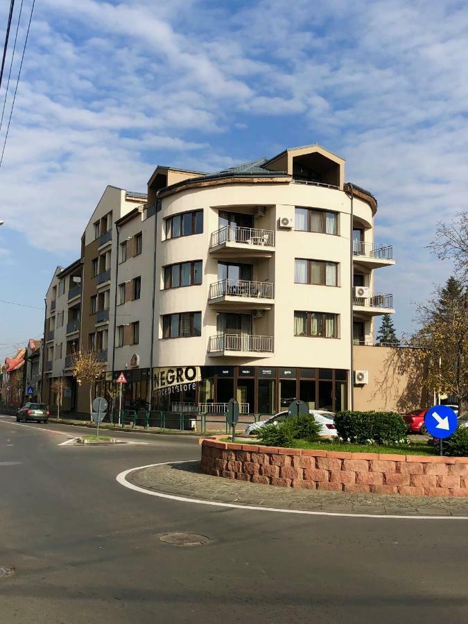 Central Apartments Targu Mures Exterior photo